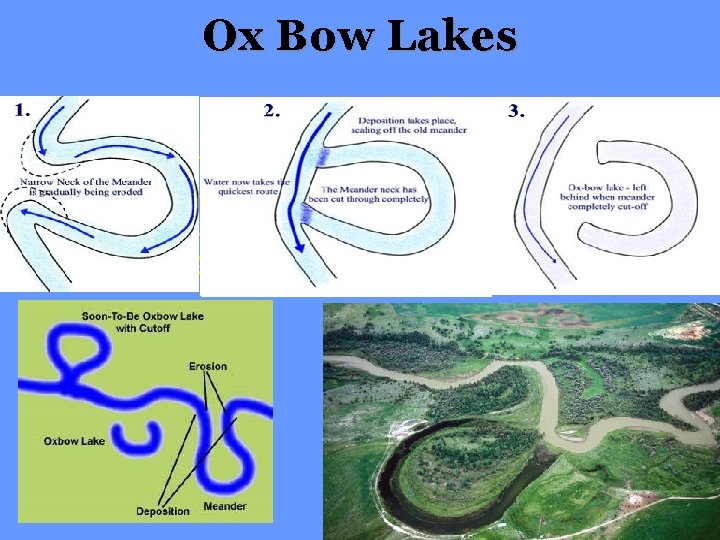 Ox Bow Lakes 1. Neck of meander is gradually eroded 2. Once cut off,