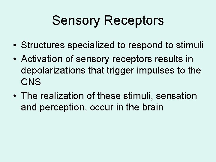 Sensory Receptors • Structures specialized to respond to stimuli • Activation of sensory receptors Sensory Receptors • Structures specialized to respond to stimuli • Activation of sensory receptors