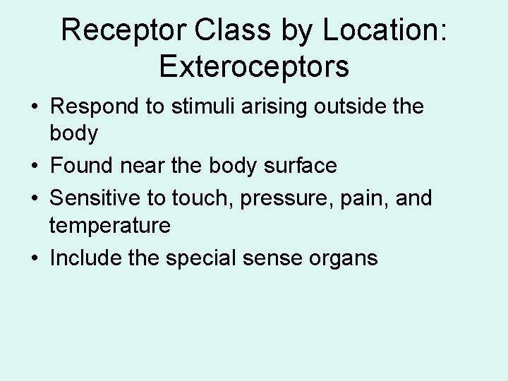 Receptor Class by Location: Exteroceptors • Respond to stimuli arising outside the body •