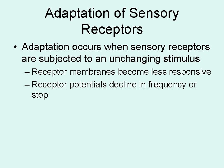 Adaptation of Sensory Receptors • Adaptation occurs when sensory receptors are subjected to an Adaptation of Sensory Receptors • Adaptation occurs when sensory receptors are subjected to an