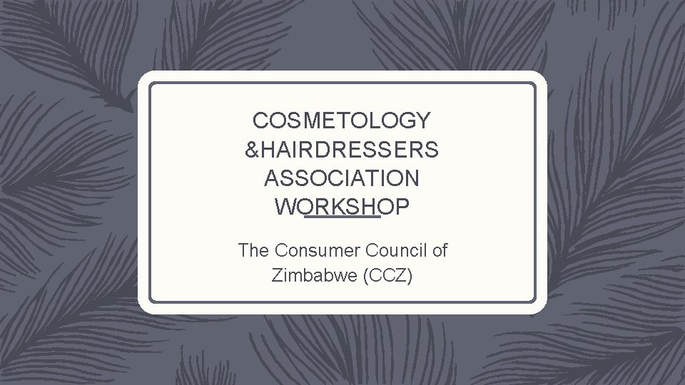 COSMETOLOGY &HAIRDRESSERS ASSOCIATION WORKSHOP The Consumer Council of Zimbabwe (CCZ) 