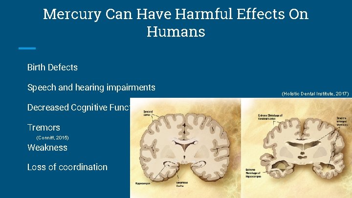 Mercury Can Have Harmful Effects On Humans Birth Defects Speech and hearing impairments Decreased