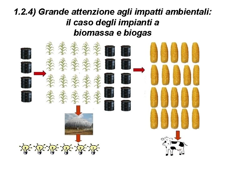 1. 2. 4) Grande attenzione agli impatti ambientali: il caso degli impianti a biomassa