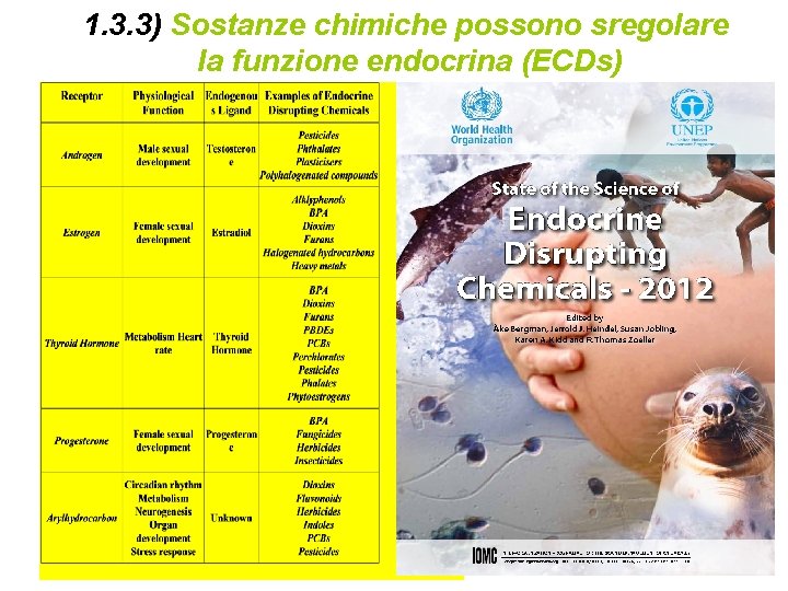 1. 3. 3) Sostanze chimiche possono sregolare la funzione endocrina (ECDs) 