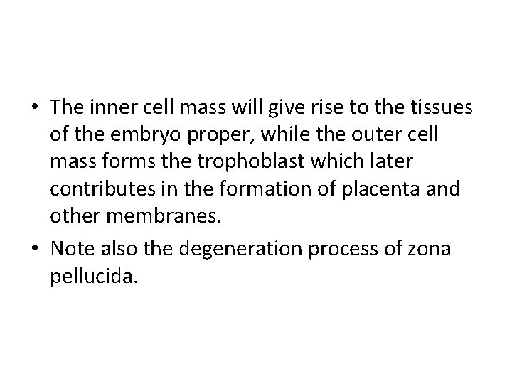  • The inner cell mass will give rise to the tissues of the