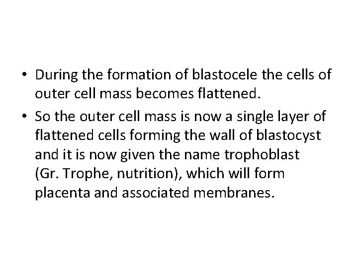  • During the formation of blastocele the cells of outer cell mass becomes