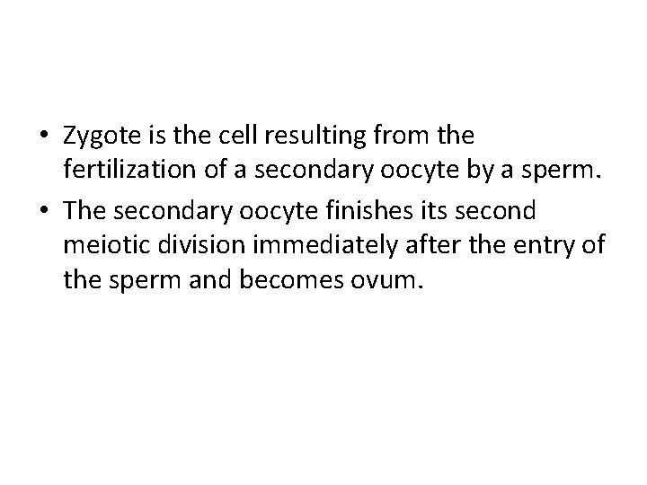  • Zygote is the cell resulting from the fertilization of a secondary oocyte