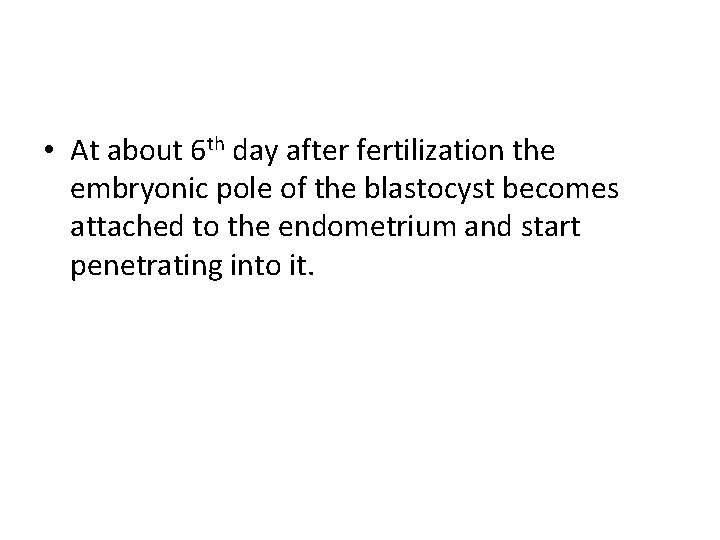  • At about 6 th day after fertilization the embryonic pole of the