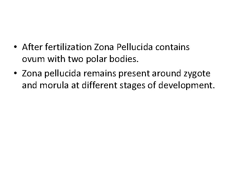  • After fertilization Zona Pellucida contains ovum with two polar bodies. • Zona