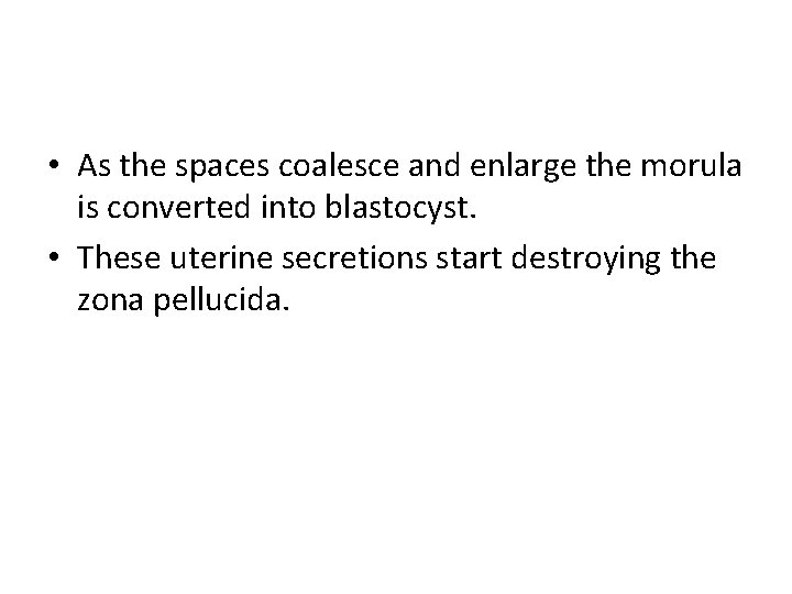  • As the spaces coalesce and enlarge the morula is converted into blastocyst.