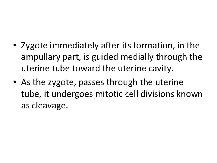  • Zygote immediately after its formation, in the ampullary part, is guided medially