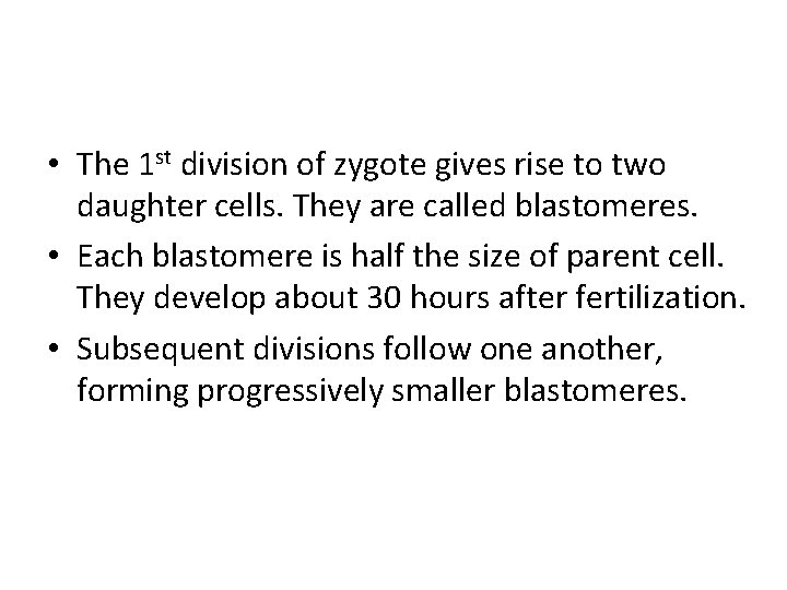  • The 1 st division of zygote gives rise to two daughter cells.