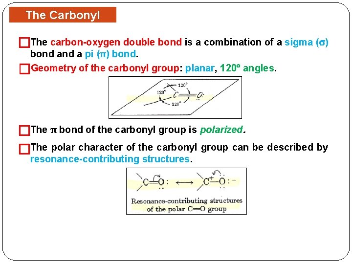 The Carbonyl Group �The carbon-oxygen double bond is a combination of a sigma (