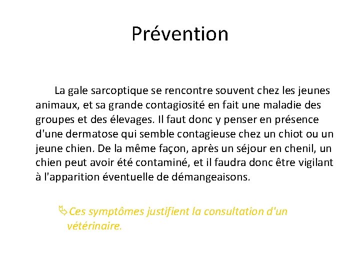 Prévention La gale sarcoptique se rencontre souvent chez les jeunes animaux, et sa grande