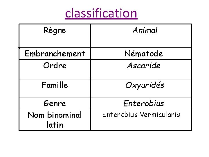 classification • Règne Animal Embranchement Ordre Nématode Ascaride Famille Oxyuridés Genre Nom binominal latin
