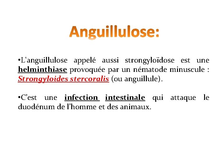  • L'anguillulose appelé aussi strongyloïdose est une helminthiase provoquée par un nématode minuscule