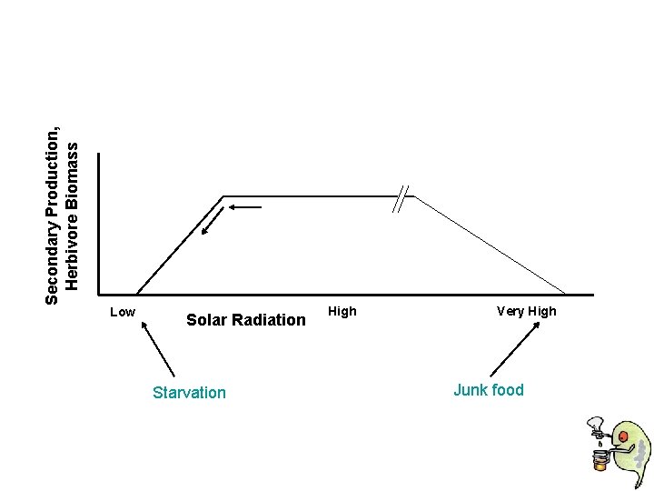 Secondary Production, Herbivore Biomass Low Solar Radiation Starvation High Very High Junk food 
