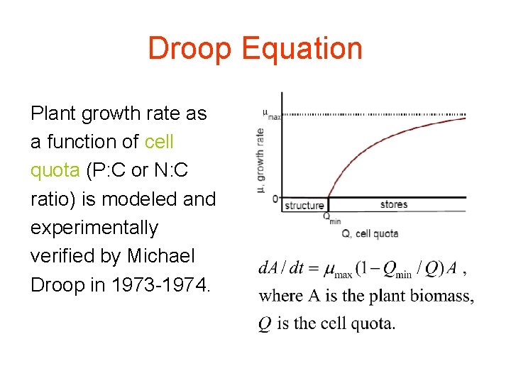Droop Equation Plant growth rate as a function of cell quota (P: C or