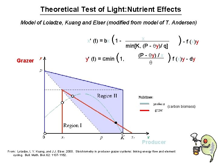 Theoretical Test of Light: Nutrient Effects Model of Loladze, Kuang and Elser (modified from