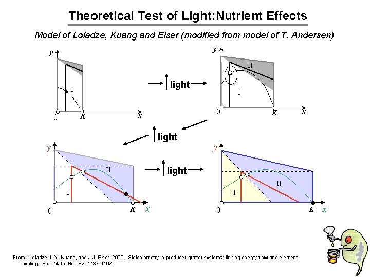 Theoretical Test of Light: Nutrient Effects Model of Loladze, Kuang and Elser (modified from