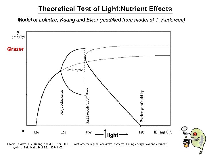Theoretical Test of Light: Nutrient Effects Model of Loladze, Kuang and Elser (modified from
