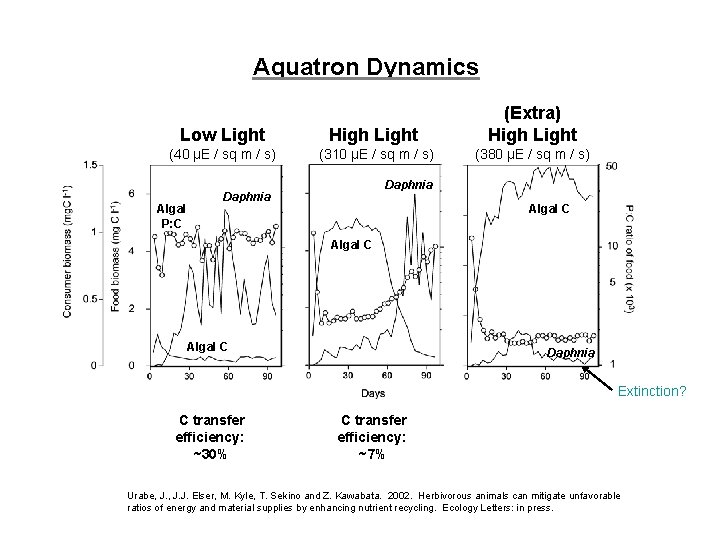 Aquatron Dynamics Low Light High Light (Extra) High Light (40 µE / sq m