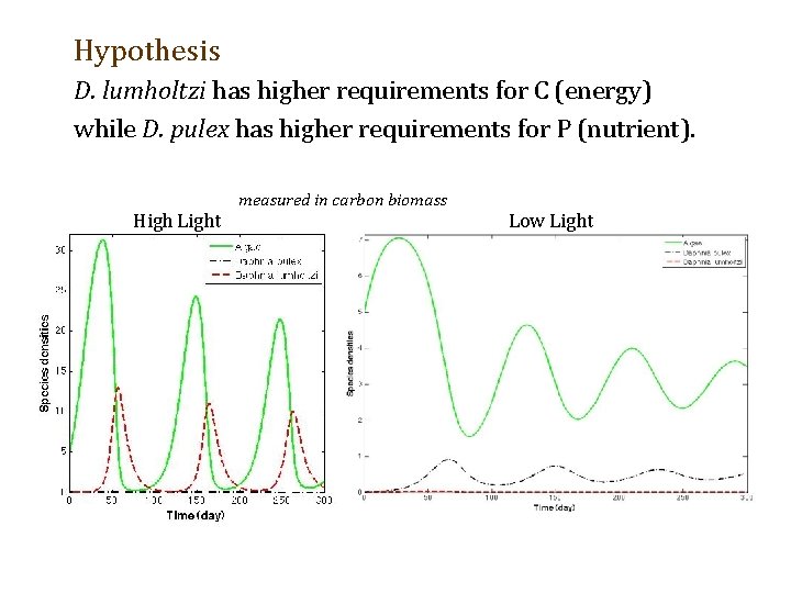 Hypothesis D. lumholtzi has higher requirements for C (energy) while D. pulex has higher