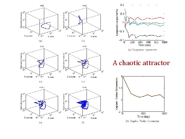 A chaotic attractor 