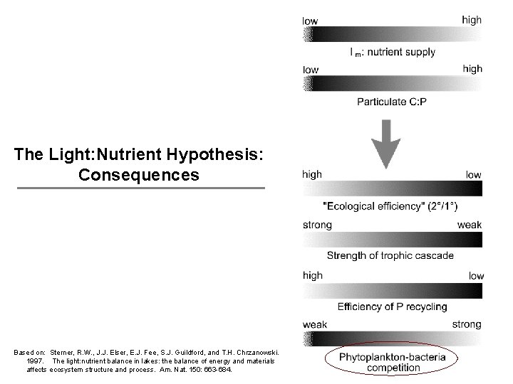 The Light: Nutrient Hypothesis: Consequences Based on: Sterner, R. W. , J. J. Elser,