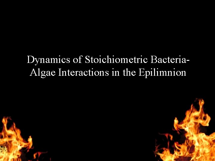 Dynamics of Stoichiometric Bacteria. Algae Interactions in the Epilimnion 