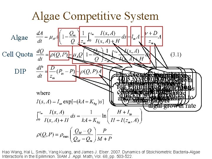 Algae Competitive System Algae Cell Quota DIP Flexible Average stoichiometry sunlight Respiration Algal sinking