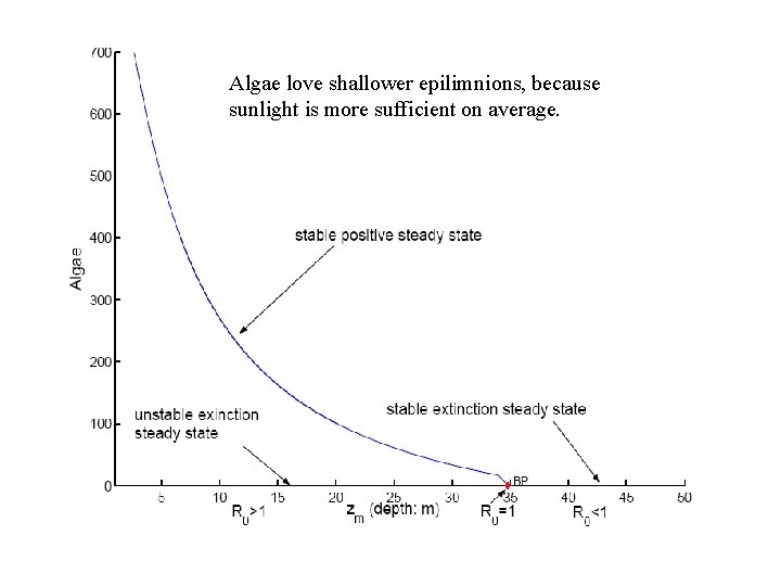 Algae love shallower epilimnions, because sunlight is more sufficient on average. 