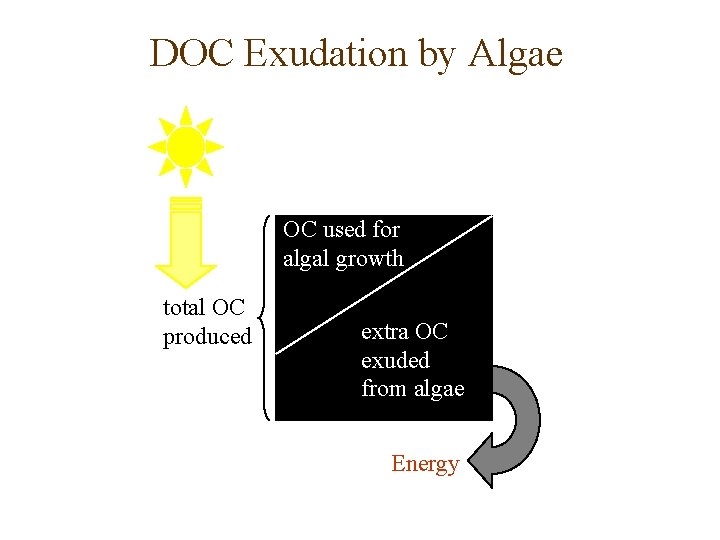 DOC Exudation by Algae OC used for algal growth total OC produced extra OC
