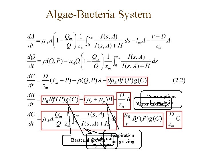 Algae-Bacteria System Consumptions by bacteria Water exchange Respiration Exudation Bacterial growth and grazing by