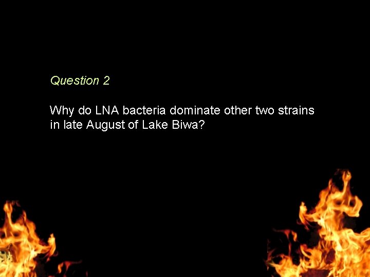 Question 2 Why do LNA bacteria dominate other two strains in late August of