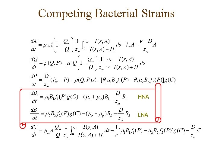Competing Bacterial Strains HNA LNA 