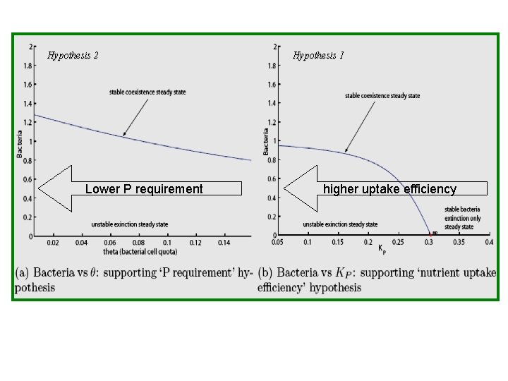 Hypothesis 2 Lower P requirement Hypothesis 1 higher uptake efficiency 