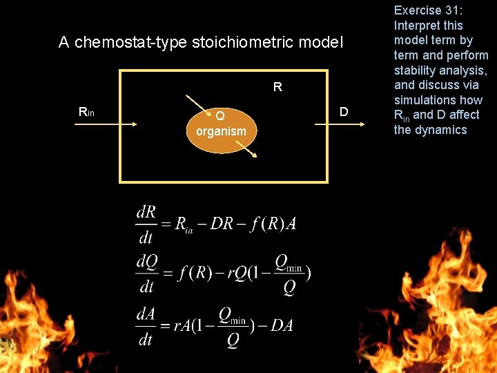 A chemostat-type stoichiometric model R Rin Q organism D Exercise 31: Interpret this model