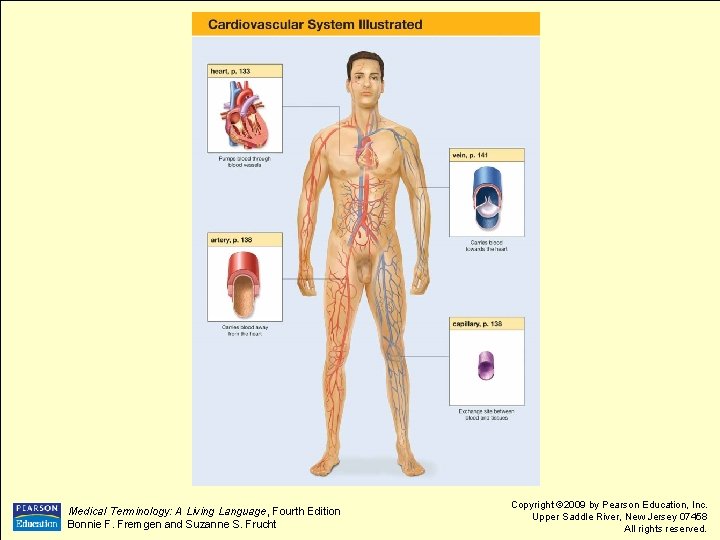 Medical Terminology: A Living Language, Fourth Edition Bonnie F. Fremgen and Suzanne S. Frucht