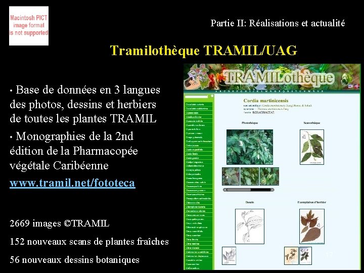 Partie II: Réalisations et actualité Tramilothèque TRAMIL/UAG Base de données en 3 langues des