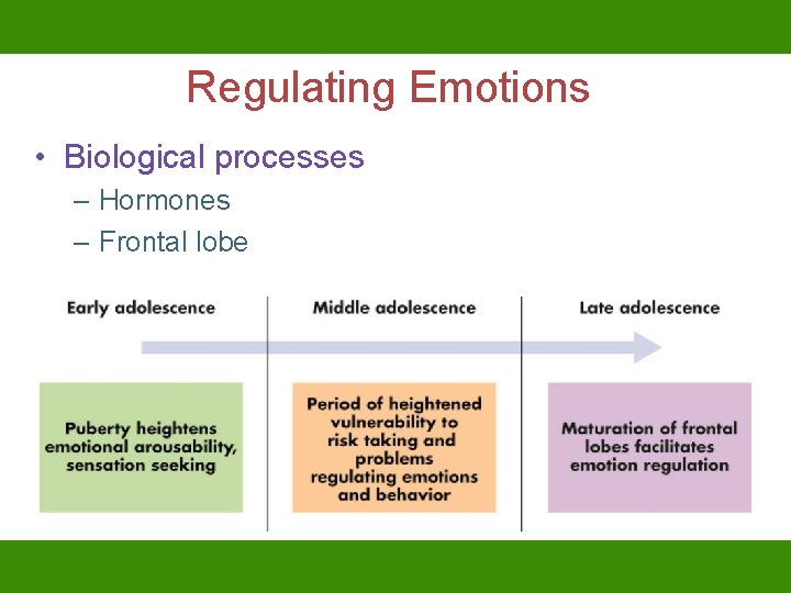 Regulating Emotions • Biological processes – Hormones – Frontal lobe 