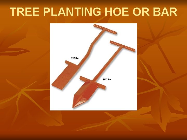 TREE PLANTING HOE OR BAR 