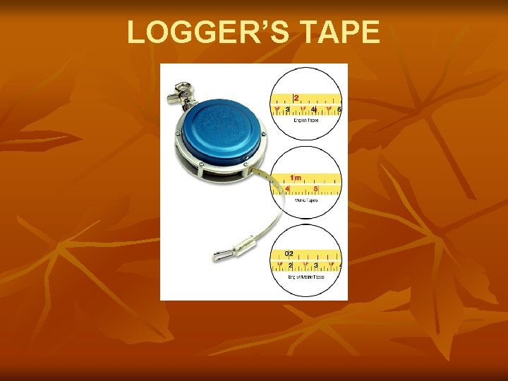 LOGGER’S TAPE 
