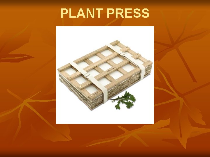 PLANT PRESS 