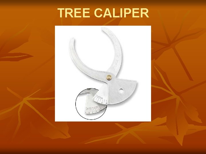 TREE CALIPER 