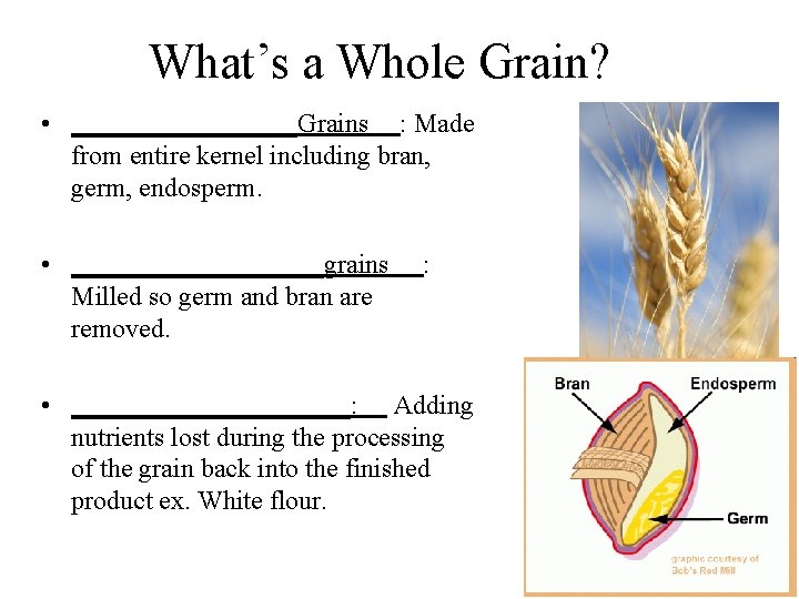 What’s a Whole Grain? • _________Grains : Made from entire kernel including bran, germ,