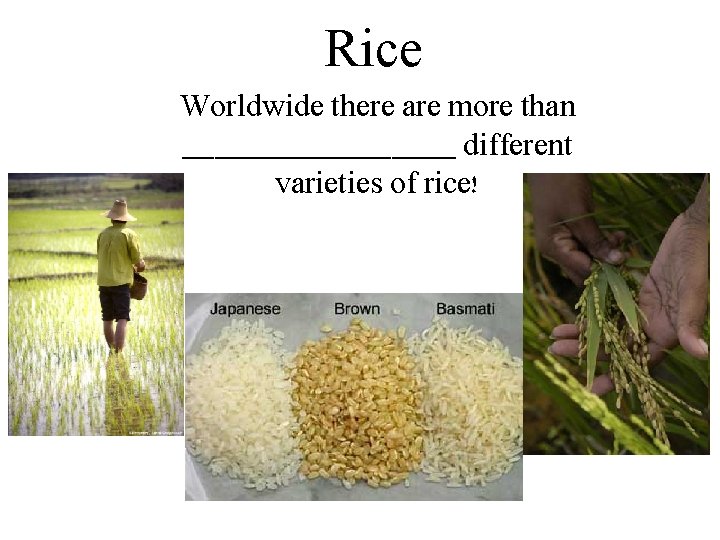 Rice Worldwide there are more than _________ different varieties of rice! 