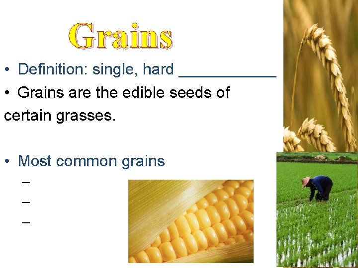 Grains • Definition: single, hard ______ • Grains are the edible seeds of certain