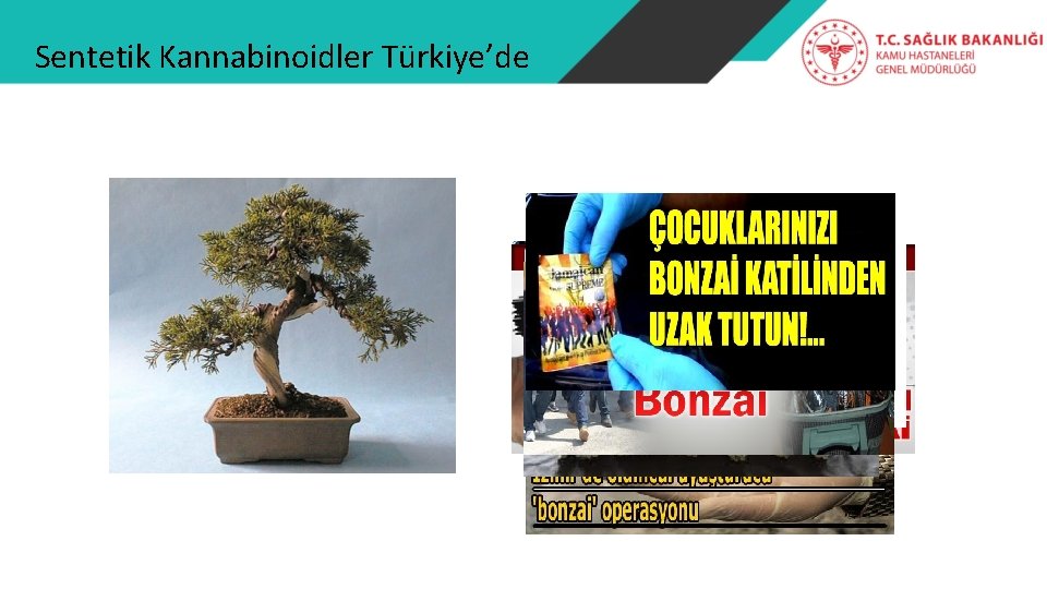 Sentetik Kannabinoidler Türkiye’de 