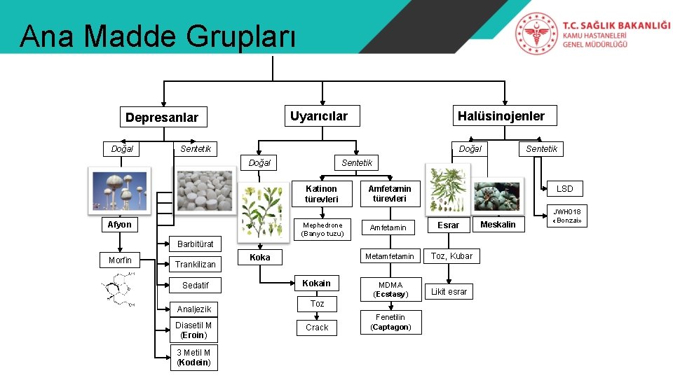 Ana Madde Grupları Doğal Halüsinojenler Uyarıcılar Depresanlar Sentetik Doğal Sentetik Katinon türevleri Afyon Mephedrone